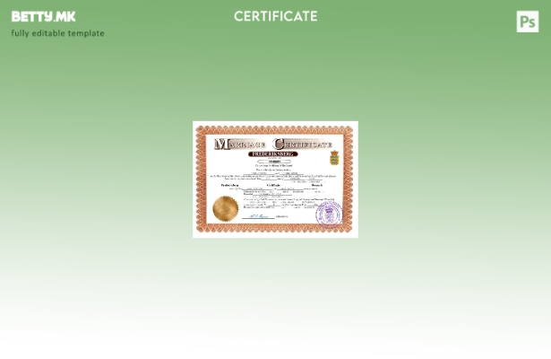 модерен стил Данска документарна за брак Шаблон за Word и PDF